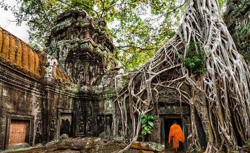 Cambodia, Ta Prohm