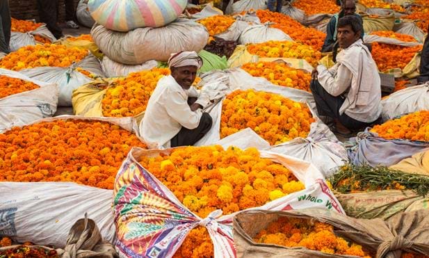 Flower Power