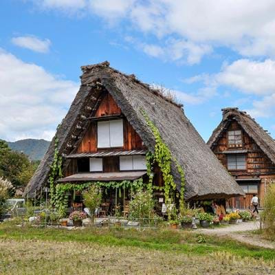 Japan Experience