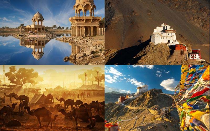 Camel Tracks and Yak Tales with David Abram- POSTPONED