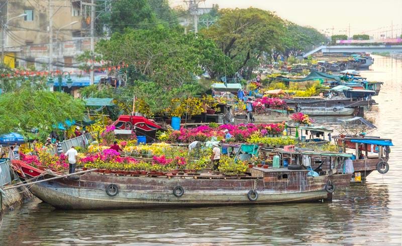 Celebrate New Year in Vietnam