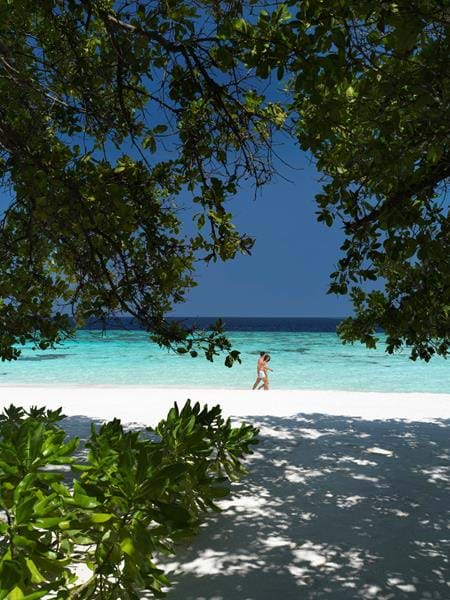 Honeymoons