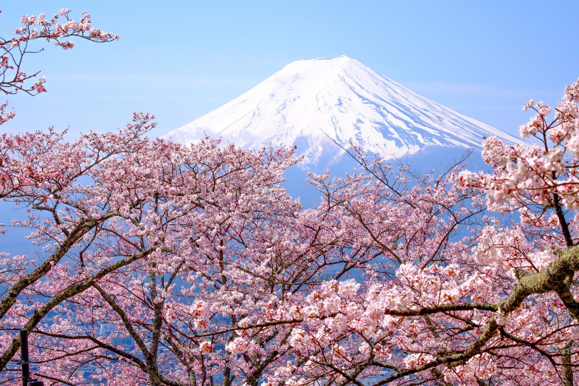 Mount Fuji | TransIndus