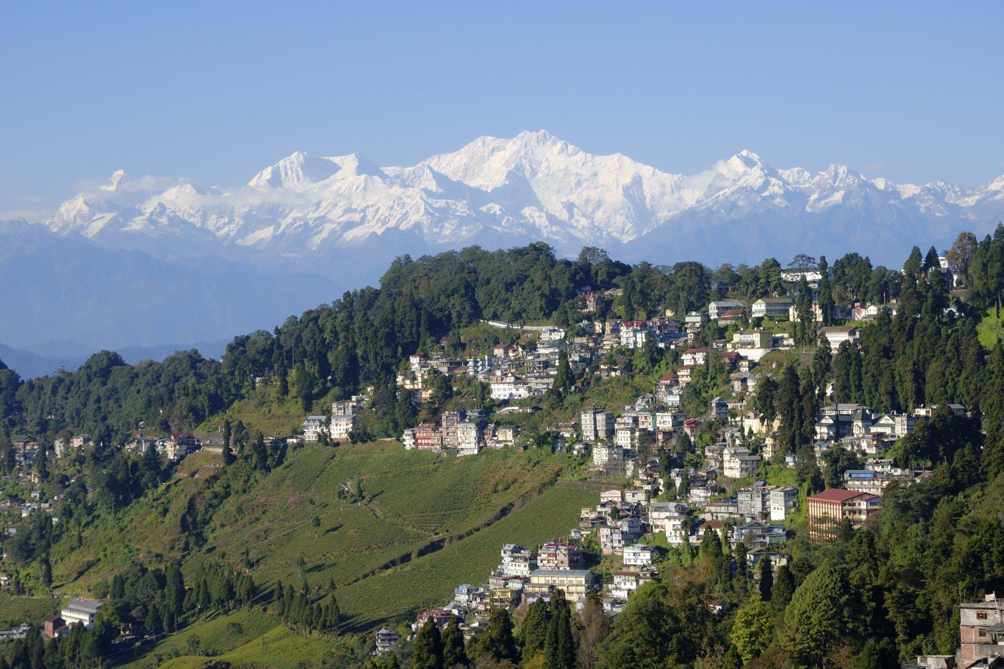 Small Group Tours & Luxury Holidays to Darjeeling | TransIndus