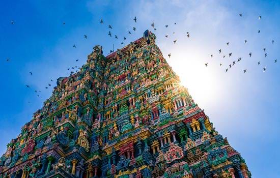 Temples & Traders of Tamil Nadu