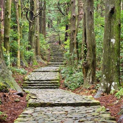 Sacred Trails of Japan