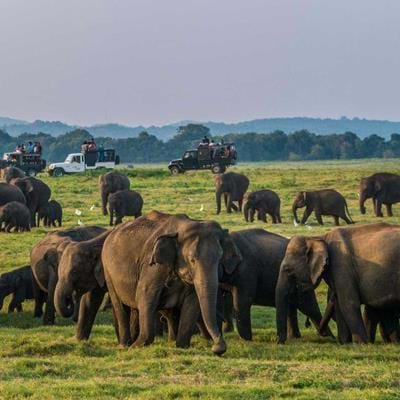 A Sri Lanka Wildlife Holiday