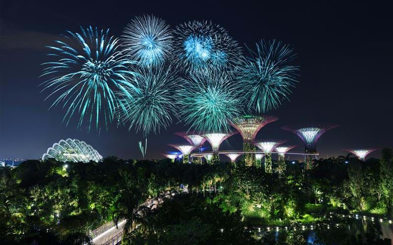 Firework display over Singapore's famous gardens