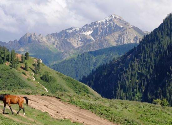 Nomads and Mountains: Kyrgyzstan