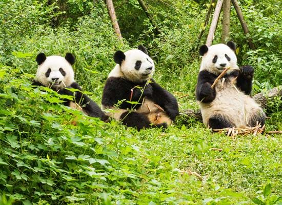Discover China