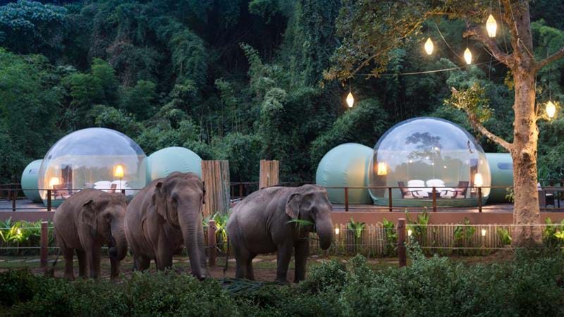 Anantara Elephant Camp, Chiang Rai