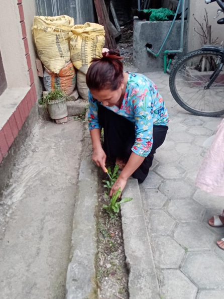 Gardening in Kathmandu during coronavirus
