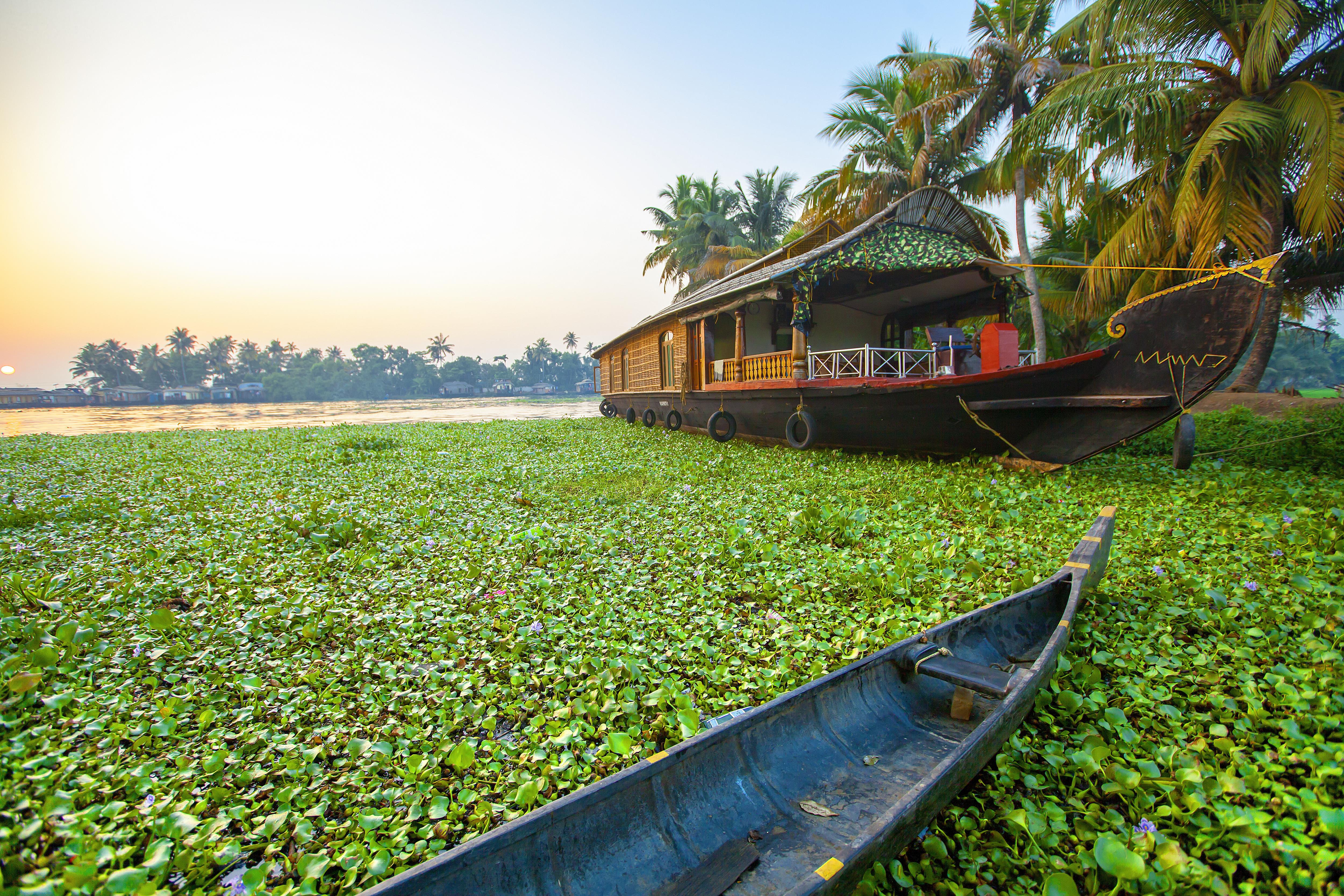 kerala tours uk