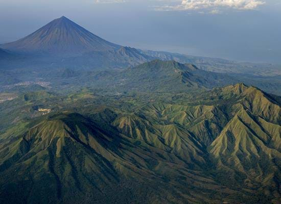 Wild Indonesia