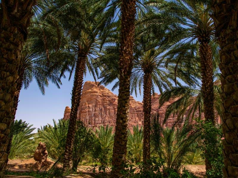Al Ula 1