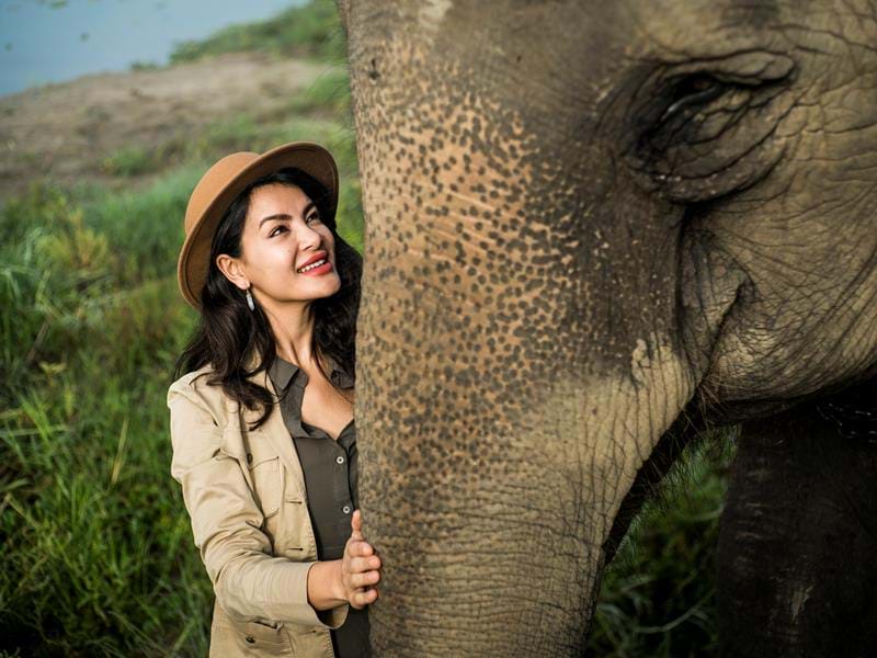 Chitwan, Meghauli Serai, Taj, Elephant (2)
