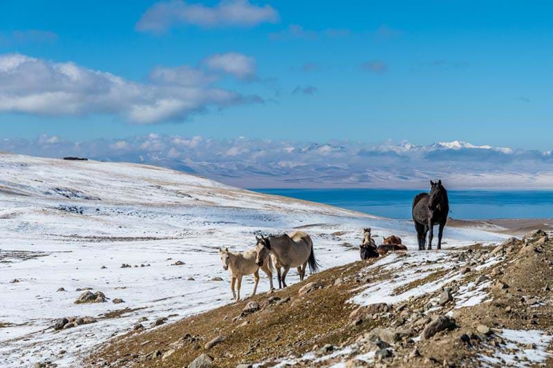 Song Kol, Krygyzstan, on a Silk Road Tour