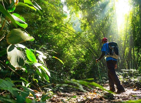 Discover Borneo