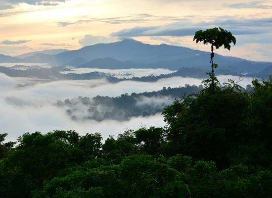 Danum Valley