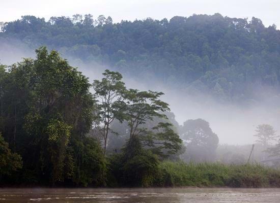 Kinabatangan