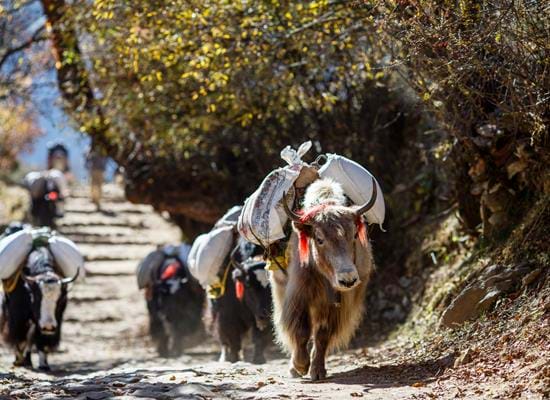 Rural Nepal