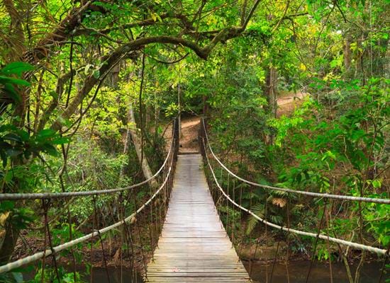 Off the Beaten Track Thailand Holiday