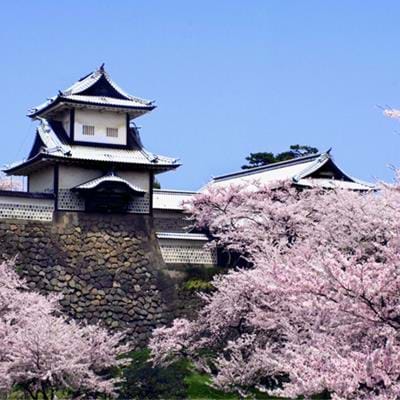 5 Reasons to Visit Japan