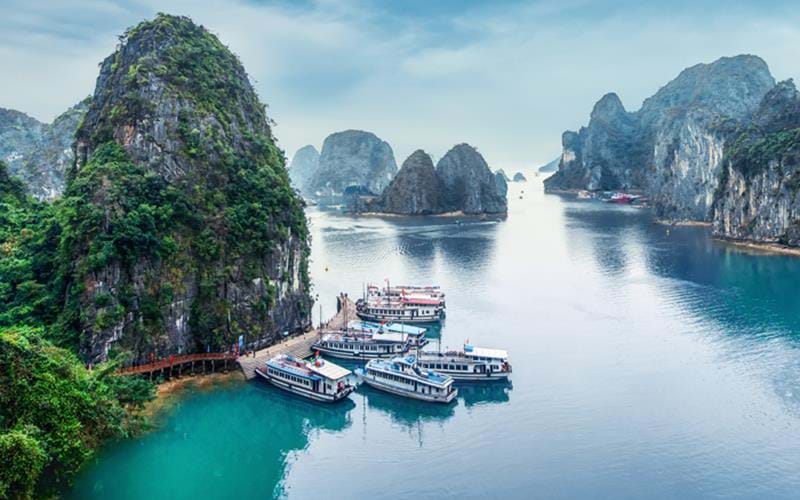 Vietnam Experience